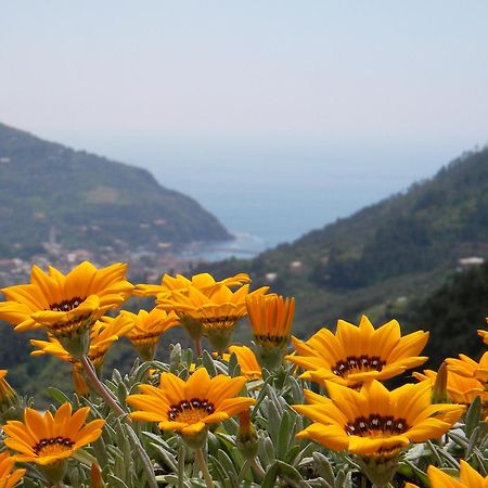 L'Antico Borgo B&B Levanto Dış mekan fotoğraf