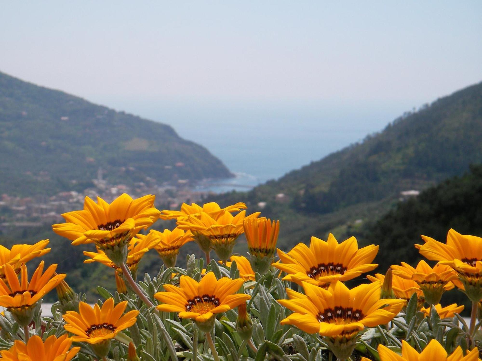 L'Antico Borgo B&B Levanto Dış mekan fotoğraf